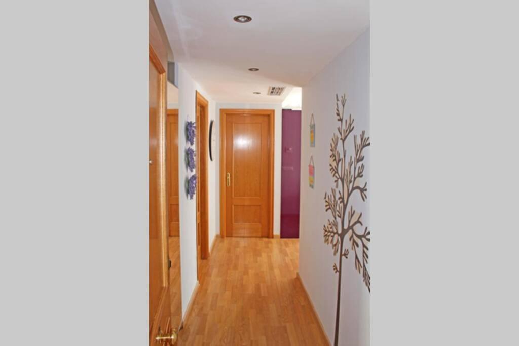 Appartement Sol